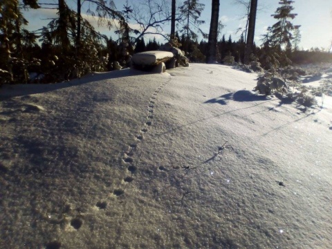 Vinterskrud i Småland 28 km från Västervik